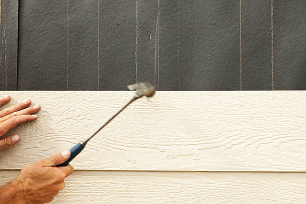 Best Engineered Wood Siding  in Taylor Creek, FL